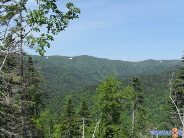 2013-06-30 Вид с лесовозной дороги в верховьях Соколовки

Просмотров: 1689
Комментариев: 0