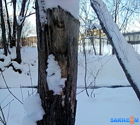 20211231162819

Просмотров: 410
Комментариев: 0