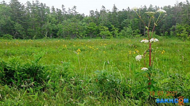 DSC04180