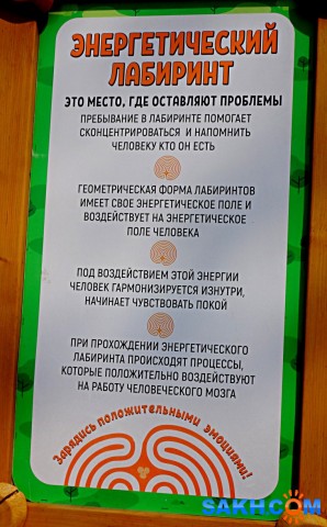 DSC01309