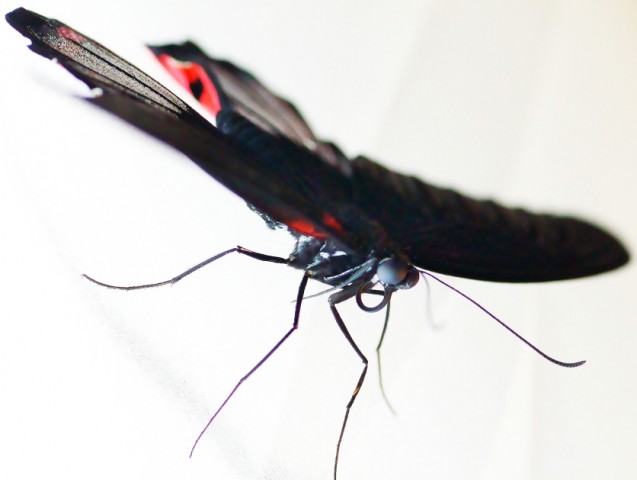 ***
Фотограф: Сергей Буркацкий

Просмотров: 759
Комментариев: 0