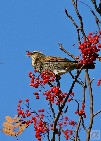***
Фотограф: Сергей Буркацкий

Просмотров: 1398
Комментариев: 0