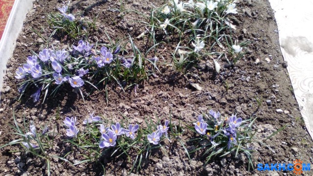 IMG_20140510_144933
Фотограф: mrnsin

Просмотров: 5636
Комментариев: 0