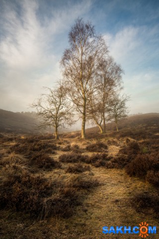 21

Просмотров: 433
Комментариев: 0