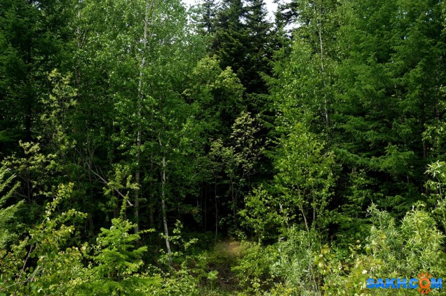 DSC09236
Фотограф: vikirin

Просмотров: 1520
Комментариев: 0