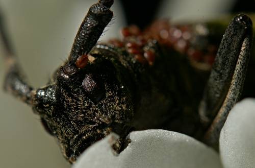 DSC05527
Фотограф: Сергей Буркацкий

Просмотров: 444
Комментариев: 0