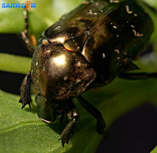 DSC05551
Фотограф: Сергей Буркацкий

Просмотров: 344
Комментариев: 0