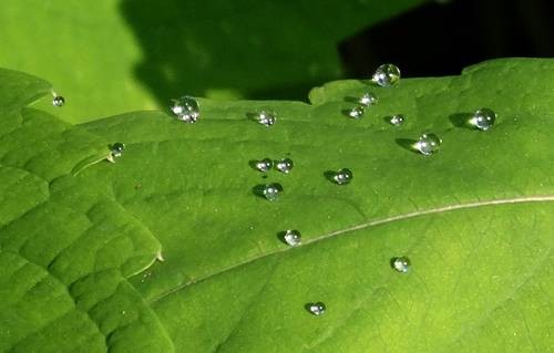 DSC00131
Фотограф: Сергей Буркацкий

Просмотров: 377
Комментариев: 0