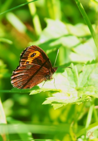 ***
Фотограф: Сергей Буркацкий

Просмотров: 814
Комментариев: 0