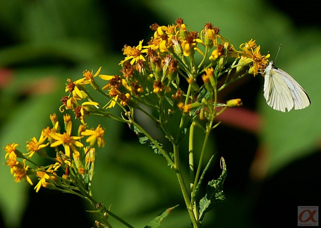***
Фотограф: Сергей Буркацкий

Просмотров: 1123
Комментариев: 0