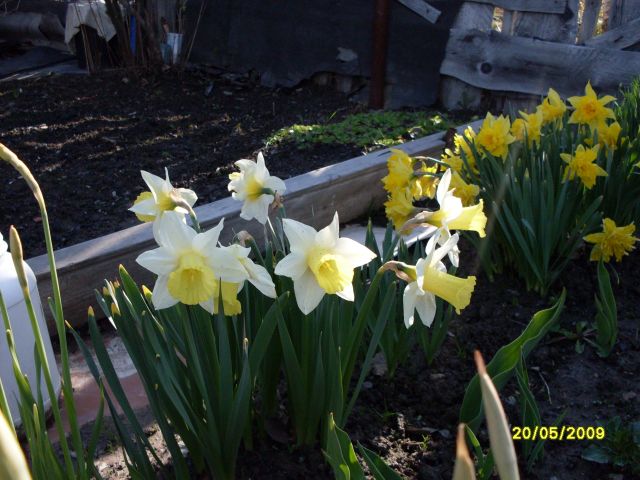 В себя влюблённые
Фотограф: Maricha

Просмотров: 1213
Комментариев: 0