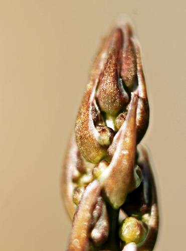 DSC05364
Фотограф: Сергей Буркацкий

Просмотров: 381
Комментариев: 0