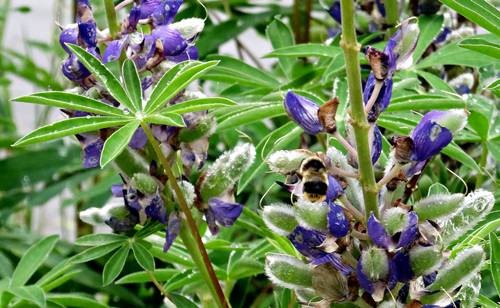 DSC00419
Фотограф: Сергей Буркацкий

Просмотров: 784
Комментариев: 0