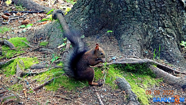 DSC03140
В парке.

Просмотров: 432
Комментариев: 0