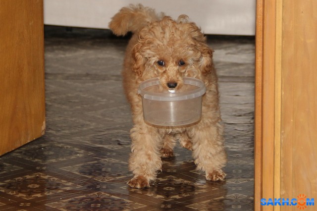 Час обеда подошел!

Просмотров: 1006
Комментариев: 1