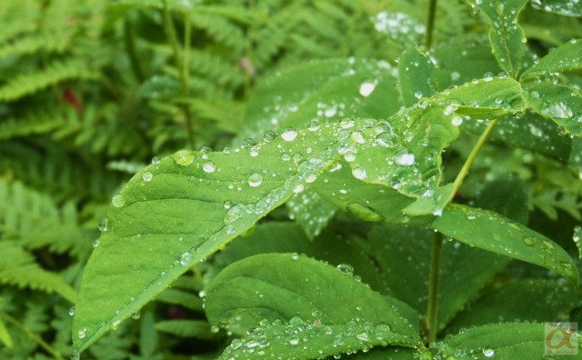 ***
Фотограф: Сергей Буркацкий

Просмотров: 874
Комментариев: 0