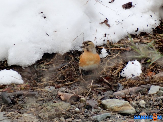 Юрок

Просмотров: 632
Комментариев: 0