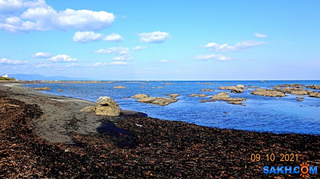 DSC06303