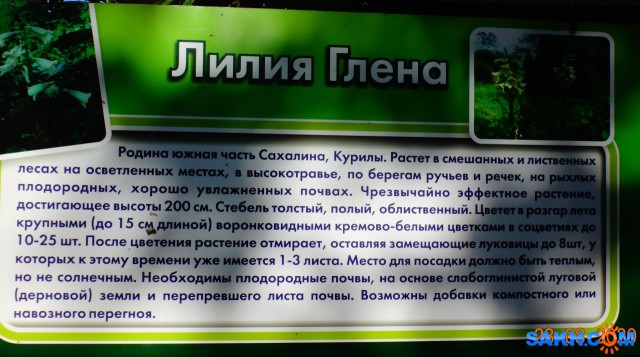 DSC05667

Просмотров: 447
Комментариев: 0