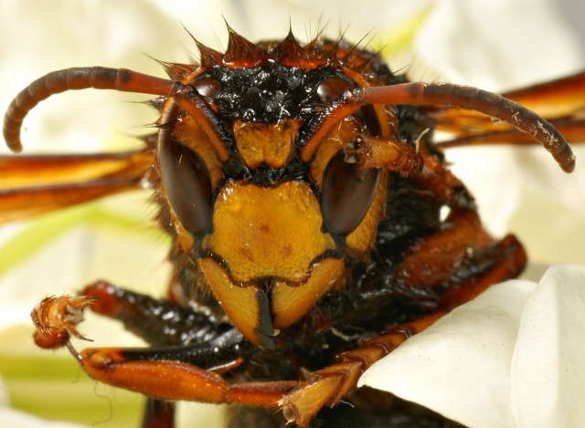 DSC00894
Фотограф: Сергей Буркацкий

Просмотров: 436
Комментариев: 0