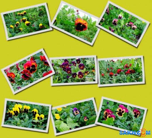 bloggif_616410ccacf38

Просмотров: 437
Комментариев: 0