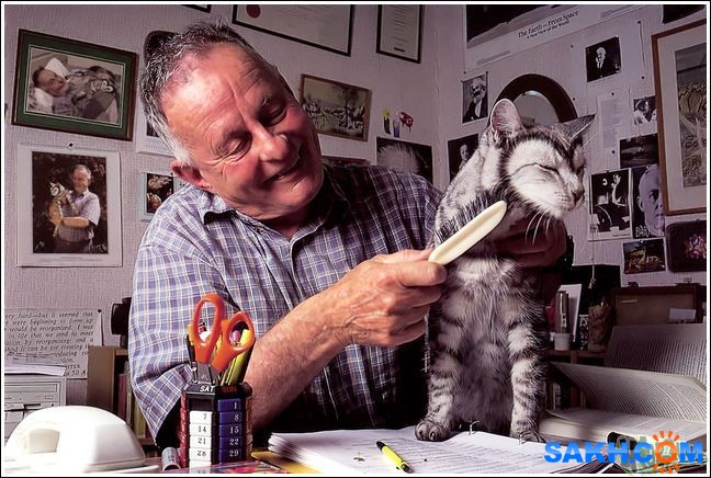 11
Фотограф: synthetic

Просмотров: 217
Комментариев: 0