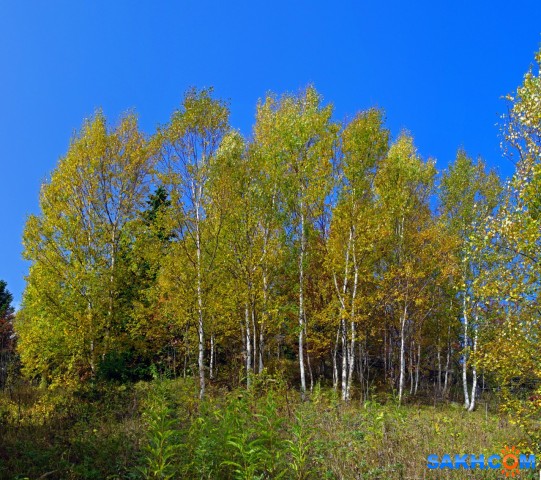 024-пан-к

Просмотров: 973
Комментариев: 0