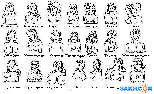 4545енгн66564120

Просмотров: 1065
Комментариев: 0