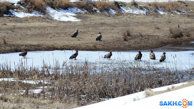 тусовка

Просмотров: 327
Комментариев: 1