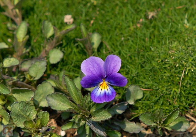 ***
Фотограф: Сергей Буркацкий

Просмотров: 845
Комментариев: 0