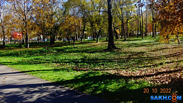 DSC04896
