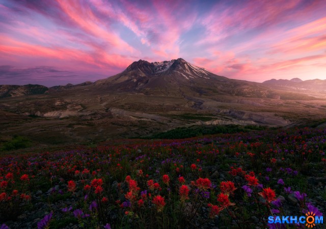 07

Просмотров: 314
Комментариев: 0