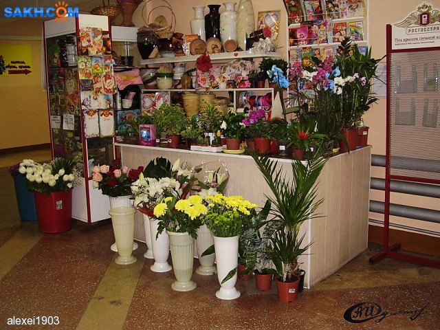 г.Поронайск
Фотограф: alexei1903

Просмотров: 2010
Комментариев: 0