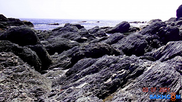 DSC03343