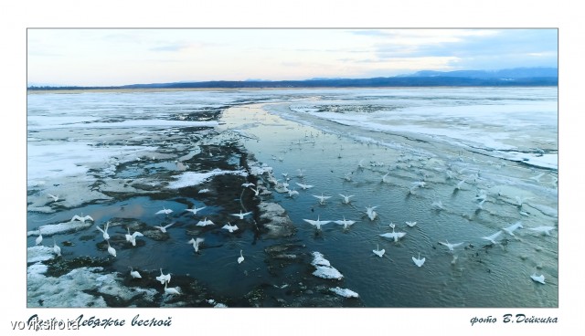 Озеро Лебяжье
Фотограф: В.Дейкин

Просмотров: 3012
Комментариев: 2