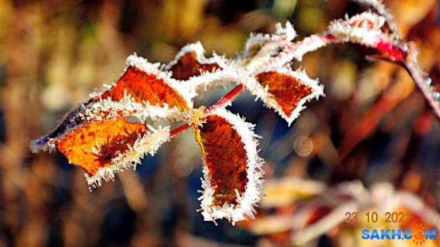 DSC06925

Просмотров: 433
Комментариев: 0