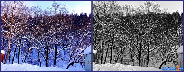 MyCollages

Просмотров: 585
Комментариев: 0