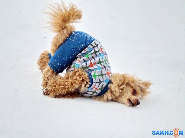 К пурге

Просмотров: 1199
Комментариев: 2