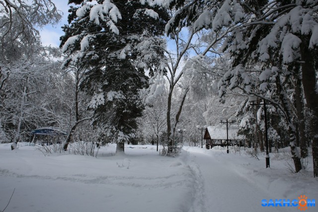 018

Просмотров: 1163
Комментариев: 0