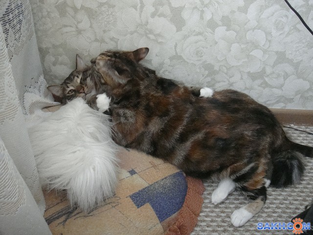 DSC00443

Просмотров: 705
Комментариев: 2