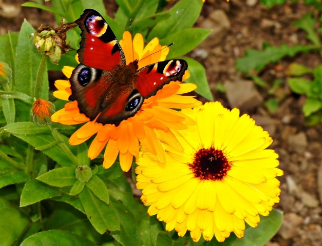 ***
Фотограф: Сергей Буркацкий

Просмотров: 579
Комментариев: 0