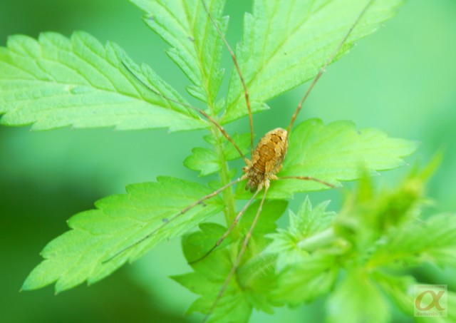 ***
Фотограф: Сергей Буркацкий

Просмотров: 976
Комментариев: 0