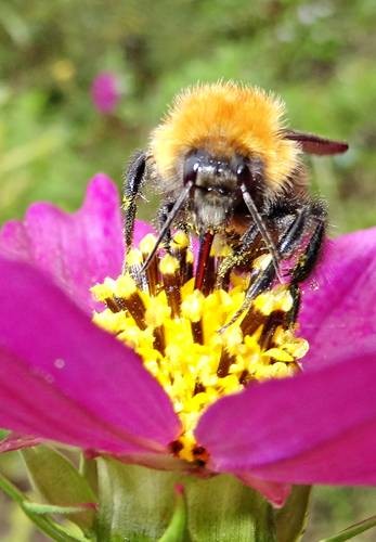 DSC03664
Фотограф: Сергей Буркацкий

Просмотров: 525
Комментариев: 0