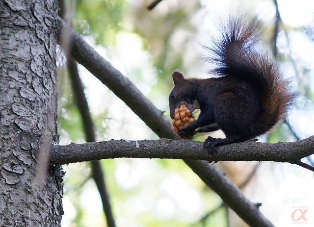 ***
Фотограф: Сергей Буркацкий

Просмотров: 1345
Комментариев: 0