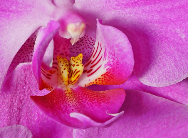 ***
Фотограф: Сергей Буркацкий

Просмотров: 1088
Комментариев: 0