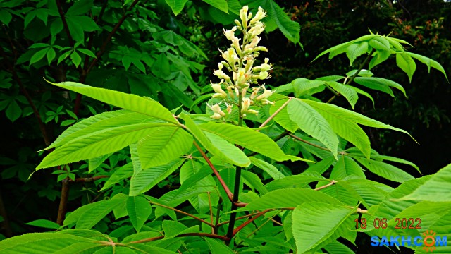 DSC09762

Просмотров: 386
Комментариев: 0