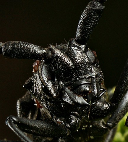 DSC01840
Фотограф: Сергей Буркацкий

Просмотров: 346
Комментариев: 0