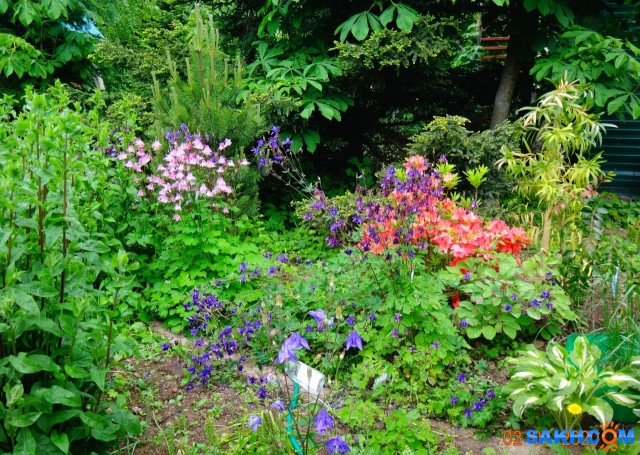 Родедендрон.

Просмотров: 451
Комментариев: 0