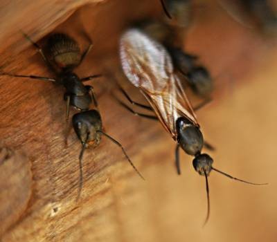 DSC05483
Фотограф: Сергей Буркацкий

Просмотров: 358
Комментариев: 0