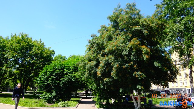 DSC00219

Просмотров: 486
Комментариев: 0